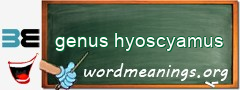 WordMeaning blackboard for genus hyoscyamus